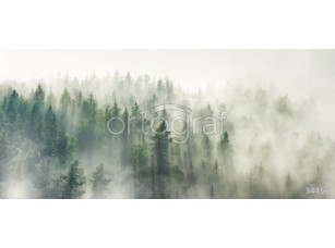Фотообои Ortograf 34456 Туманный лес - фото (1)