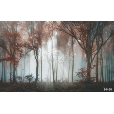 Фотообои Ortograf 34460 Олень в туманном лесу
