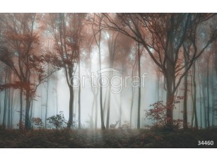 Фотообои Ortograf 34460 Олень в туманном лесу - фото (1)