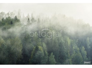 Фотообои Ortograf 34462 Туман над лесом - фото (1)