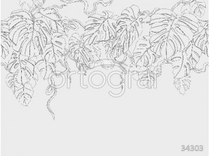 Фотообои Ortograf 34303 Monstera white - фото (1)