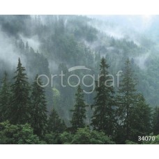 Фотообои Ortograf 34070 Величественный лес и туман