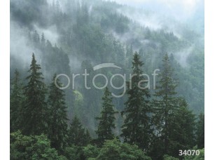 Фотообои Ortograf 34070 Величественный лес и туман