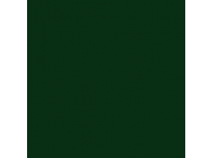 Краска Little Greene цвет Dark Brunswick Green 88 - фото (1)