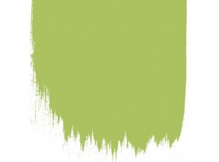 Краска Designers Guild цвет Green Apple 95 - фото (1)