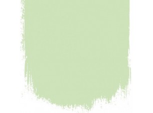 Краска Designers Guild цвет Peppermint Cream 97 - фото (1)