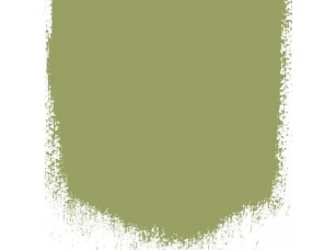 Краска Designers Guild цвет Asparagus Fern 94 - фото (1)