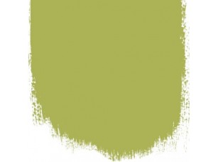 Краска Designers Guild цвет Greengage 100 - фото (1)