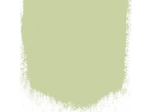 Краска Designers Guild цвет The Vert 108 - фото (1)