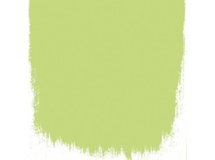 Краска Designers Guild цвет Lime Tree 96 - фото (1)