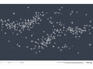Обои GEO.06 / M66 - фото (1)