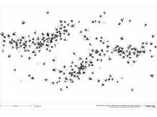 Обои GEO.06 / MASK - фото (1)