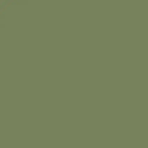 Краска Little Greene цвет Sage Green 80 купить в Санкт-Петербурге коллер