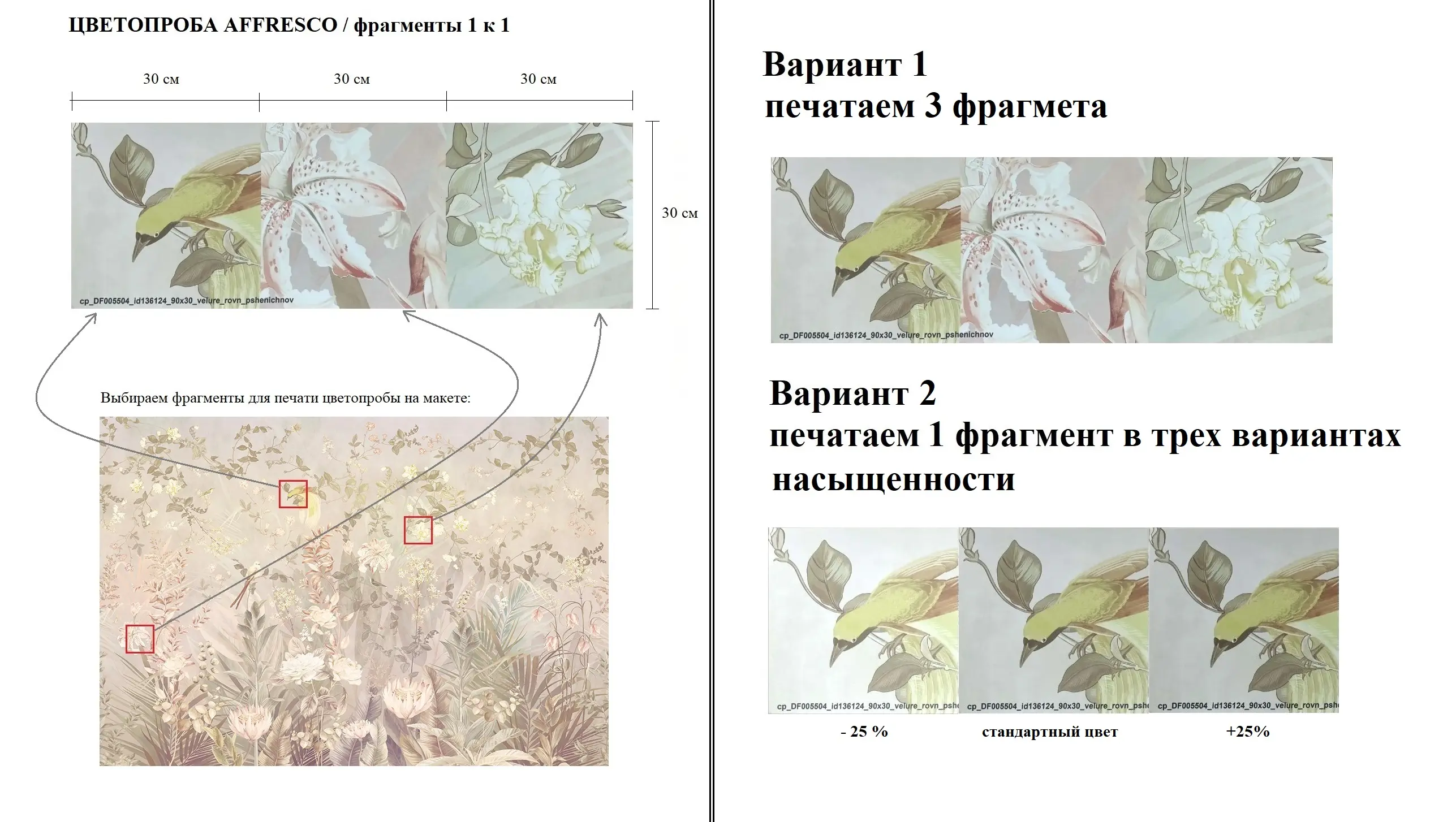 цопе голые 5  