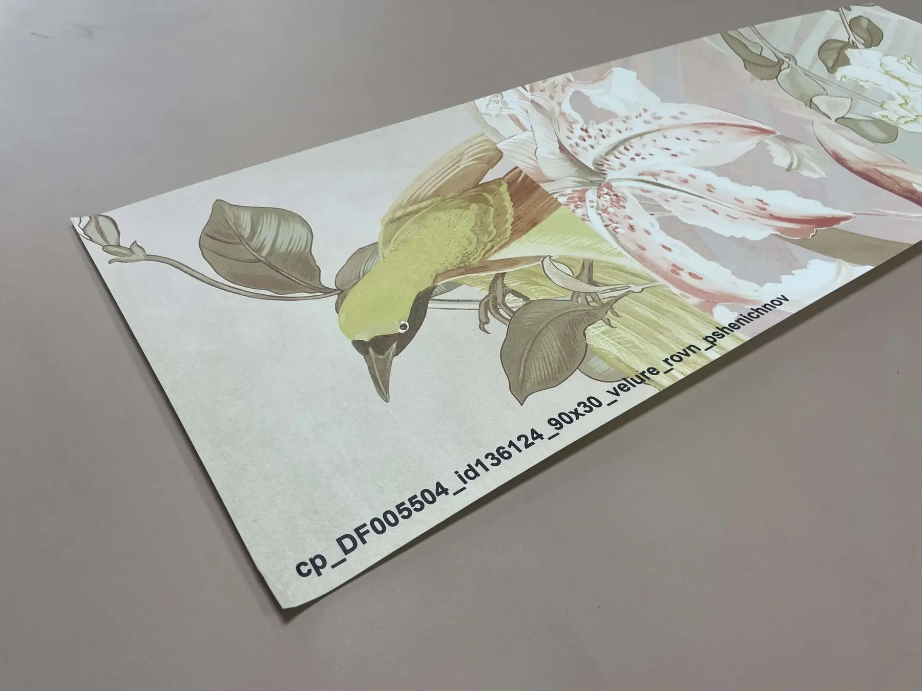 цопе голые 5 @@@@@ Цветопроба Affresco