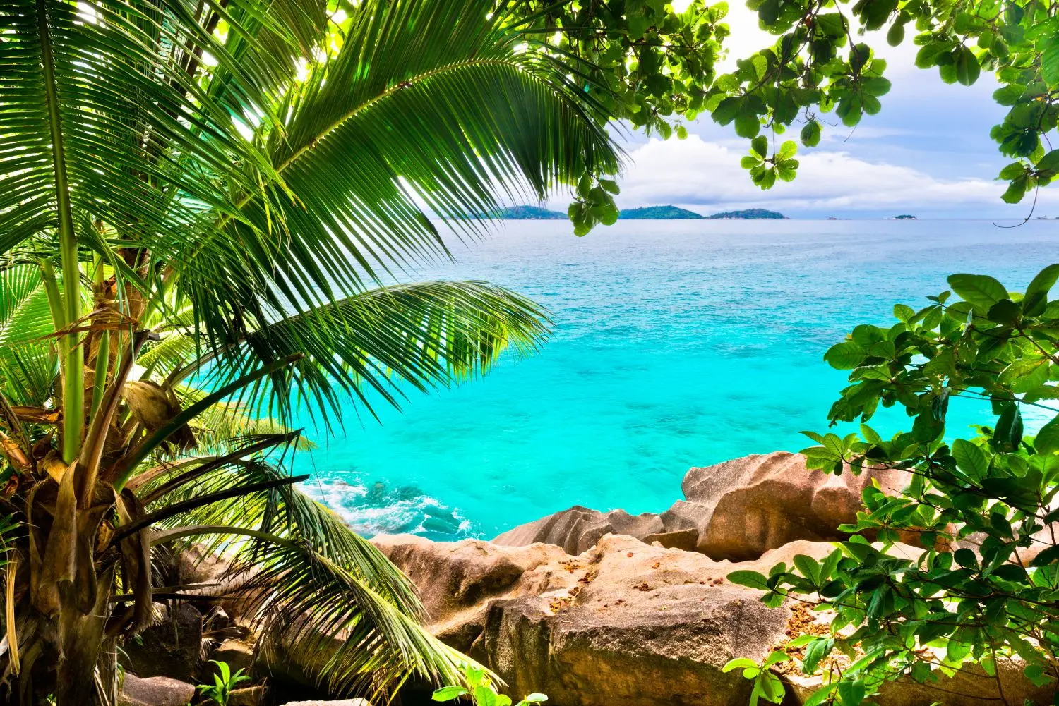 тропический закат. тропические песни. тропические песни. Rainforest world music festival. тропические песни.