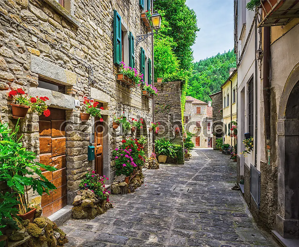 Фотообои «Итальянская улица в небольшом городе провинции Тосканы, Италия, Европа»