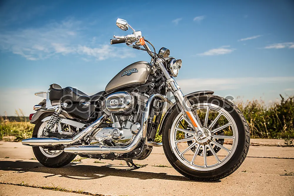 Harley Davidson Sportster 883 2021