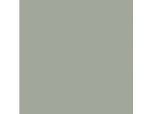 цвет краски Hygge HG02-071_PALE_GREEN_