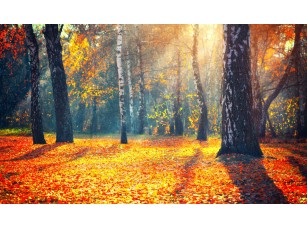 Фреска «Осенние листья берез» - фото (1)
