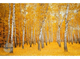 Фреска «Осенние березы» - фото (1)