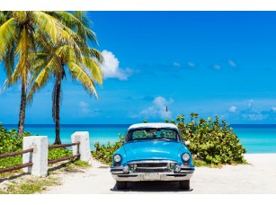 Фреска «Автомобиль на берегу Кубы» - фото (1)
