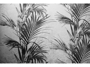 Фреска «Пальмы ченрно-белые» - фото (1)