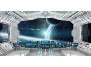 Фреска «Вид из космического корабля »