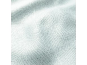 Plerion 
									Duckegg - фото (2)
