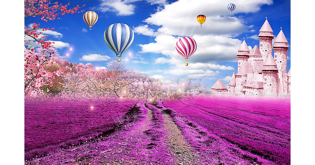 Лавандовый Замок фото 7