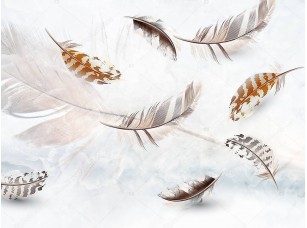 Фотообои «Несколько серых и бежевых перьев»