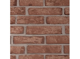 Обои Andrea Rossi Spectrum Trend 54428-10 - фото (1)