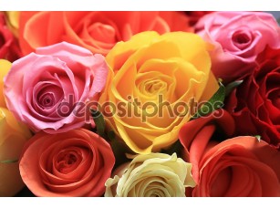 Фотообои «Букет из разноцветных роз» - фото (1)