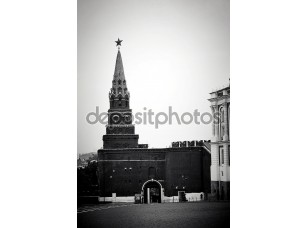Фотообои «Московский Кремль в черно-белом цвете» - фото (1)