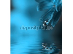 Фотообои «Капля воды падает лист» - фото (1)