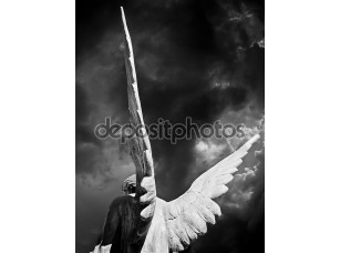 Фотообои «Крылья ангела» - фото (1)