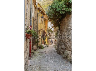 Фотообои «Narrow street with flowers» - фото (1)