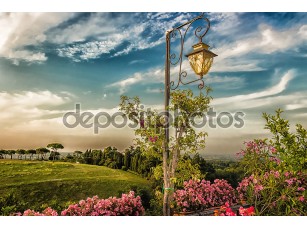 Фотообои «Lamp on green view» - фото (1)
