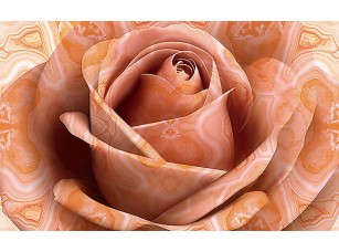 Фотообои «Роза из камня»