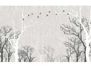 Фотообои «Зимние деревья»