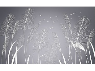 Фотообои «Растения в виде перьев»