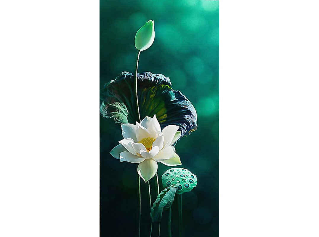 Цветок Лотоса Фото