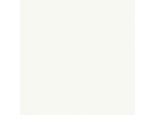 Цвет SW6203 Spare White chip  - фото (1)
