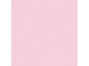 Цвет SW6289 Delightful chip  - фото (1)