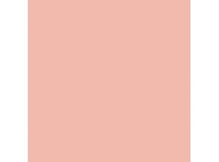 Цвет SW6331 Smoky Salmon chip  - фото (1)