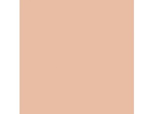 Цвет SW6345 Sumptuous Peach chip  - фото (1)