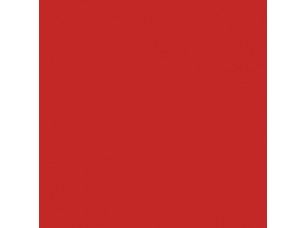 Цвет SW6601 Tanager chip  - фото (1)