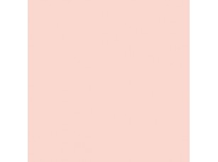 Цвет SW6617 Blushing chip  - фото (1)