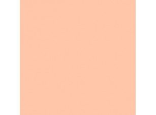 Цвет SW6632 Neighborly Peach chip  - фото (1)