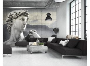 Фотообои Allusion David 19689